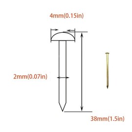 50 Pcs Hardware Nails for Hanging Pictures, Gold Finishing Small Nails for Picture Hanging/Wood/Concrete Wall (Gold, 38mm)
