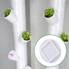 EBaokuup 24 Pcs Hydroponics yPod Caps with Colored Lables, Grow