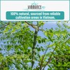 VIMMANCE Moringa Dried Leaves Tea Bags, 50 counts, Hojas de