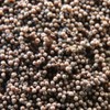 GreenWaterFarm Triops Red Longicaudatus Eggs for Hatching and Culture Suitable