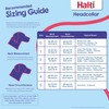 HALTI Headcollar - To Stop Your Dog Pulling on the