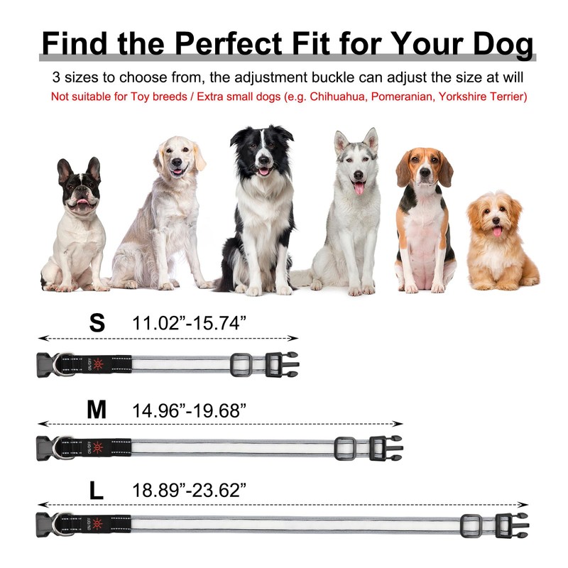 Light Up Dog Collar, Multicolor LED Dog Collar with 7