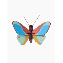 STUDIO ROOF, Wall Art Butterfly, Claudina Butterfly, Eco-Friendly & Creative Gift