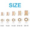 Vmuter Rivet Nuts 130Pcs Kits, 40pcs #10-24, 40pcs #8-32, 30