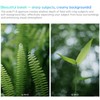 7artisans AF 25mm F1.8 E APS-C for E Mount Lens,