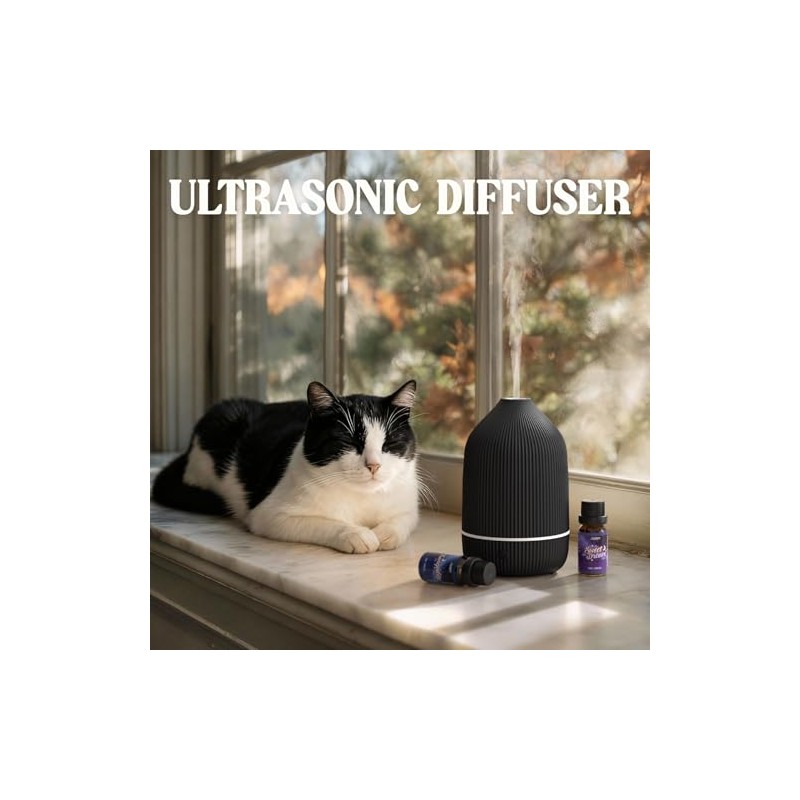 Essential Oil Diffuser, 100ml Aromatherapy Diffuser, Mini Ultrasonic Diffuser for