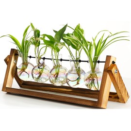 XXXFLOWER Plant Terrarium with Wooden Stand, Wall Hanging Glass Planter Tabletop Propagation Station Metal Swivel Holder Retro Rack for Hydroponics Home Garden Office Decoration - 5 Bulb Vase