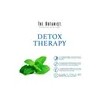 Shampoo Cool Mint Detox Therapy 591ml The Botanist