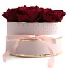 ROSEMARIE SCHULZ Heidelberg Rose Box Pink Round Infinity Roses -