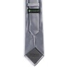 fortunatever Men's Solid Satin Necktie,Gray Ties For Men With Gift