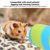 Hamster Play Tube Environmentally Friendly Safe Fun Tunnels Play Tube