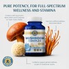 Vykee Nutrition Mezcla de Hongos: Reishi