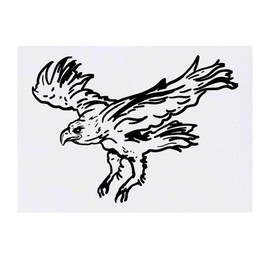 'Flying Eagle' Temporary Tattoo - Water Resistant, Skin-Safe, Non-Toxic Transfer (TO00033052)