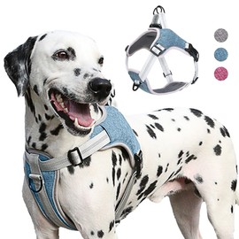 AgoumLux Dog Harness for Small Dogs, Reflective Dog Harness with Padded, Adjustable, Anti-Pull Puppy Chest Harness for Large, Medium, Small Dogs, Blue, S
