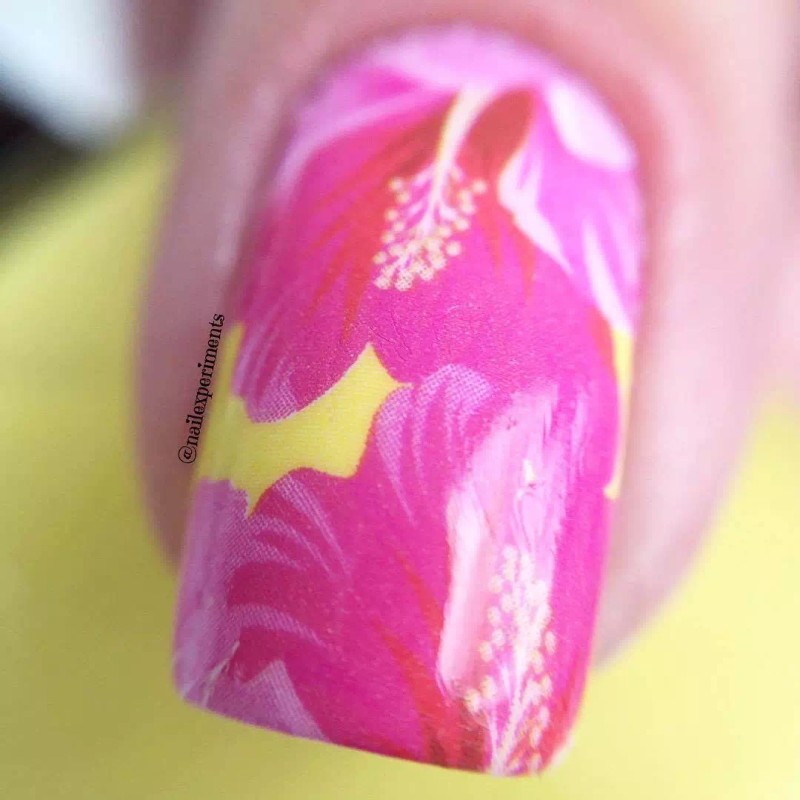 Whats Up Nails P085 Frilly Hibiscus Water Decals Sliders for