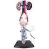 Famemaster 4D-Vision Human Male Reproductive Anatomy Model