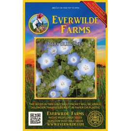 Everwilde Farms - 1000 Baby Blue Eyes Native Wildflower Seeds - Gold Vault Jumbo Seed Packet
