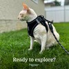 Hepper Cat Harness and Leash Escape Proof Set - Black