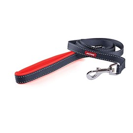 Kazoo 11409 Active Nylon Dog Lead, Slate/Orange
