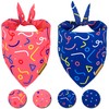 Raisingwell Birthday Dog Bandanas 2 Pack, 4 Pattern Reversible, Blue