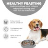 Outward Hound Fun Feeder Slo Bowl, Slow Feeder Dog Bowl,