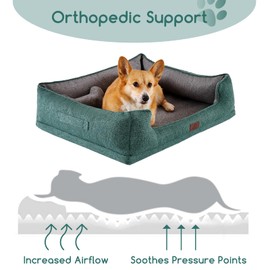 Hollypet Orthopedic Rectangle Dog Bed for Medium Dogs, Supportive Egg-Crate Foam Pet Beds with Removable Washable Waterproof Cover and Non-Slip Bottom, Green, 32" L x 24" W x 8.5" Th