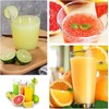 Pulp Control Citrus Juicer Machines - with 3 Modes (Black)