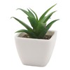 6PCS Potted Artificial Succulents Artificial Plants in Pots Plastic Fake