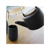 VIVA Nicola Charcoal Porcelain Japanese Style Tea pot - 40