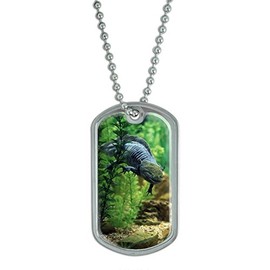 GRAPHICS & MORE Axolotl - Mexican Salamander - Water Monster Military Dog Tag Keychain