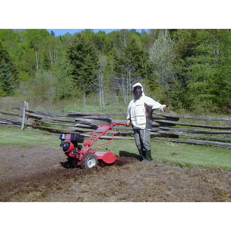 The Original Bug Shirt Men/Women (X-Large)