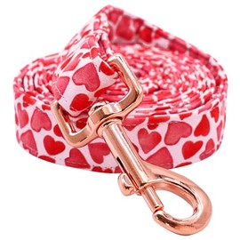 Lionheart glory Valentine's Day Strong Dog Leash, Spring Durable Dog leashes with Soft Handle for Walking Training Small Male or Female Dogs