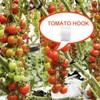 10Pack Greenhouse Trellising Kit Plant Roller Hooks, Tomato Trellis Roller