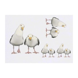 4 x 'Grumpy Seagulls' Temporary Tattoos - Water Resistant, Skin-Safe, Non-Toxic Transfers, Mixed Sizes (TO00085118)