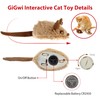 Gigwi Interactive Cat Toys for Indoor Cats, Cat Mouse Toys