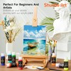 72 Pack Acrylic Paint Set, Shuttle Art 60 Colors Acrylic