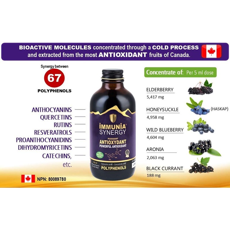 Immunia SYNERGY - Elderberry Supplement for Immune System Support -