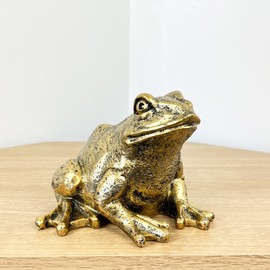 Alfie Francis Gold Frog Ornament Statue Home Shelf Decor Sculpture Figurine Animal Wildlife