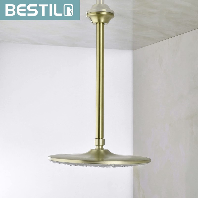 BESTILL 12 Inch Ceiling Mount Rain Shower Head Arm and