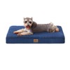 Bedfolks Orthopedic Dog Bed for Medium Dogs - Egg Foam