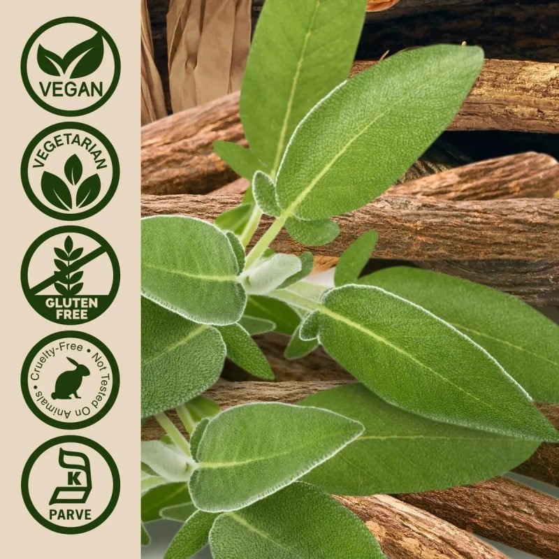 Nature Answer Regaliz 450mg Cápsulas Vegetales Sfn