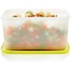 Tupperware Plastic Utility Freezer Container 2.5 L (Multicolor), Blue