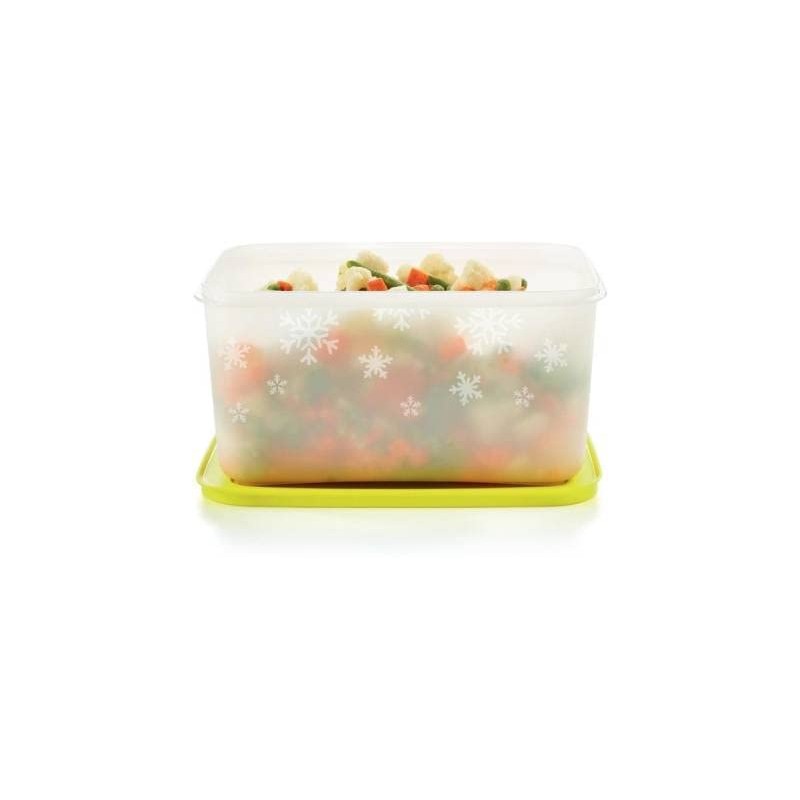 Tupperware Plastic Utility Freezer Container 2.5 L (Multicolor), Blue