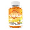 HAAYI 1200mg Potassium Chloride Supplement Gummies for Adults Women Men，High