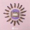 Volviendo al Origen Champú Sólido Lavanda 2 De 120g Volviendo