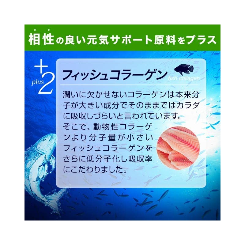 グルコサミン & コンドロイチン & コラーゲン (90粒/約1ヶ月分)