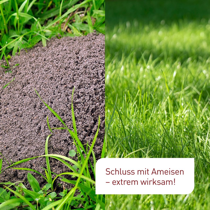 Plantura SF Nematodes Against Ants - 100% Organic & Highly