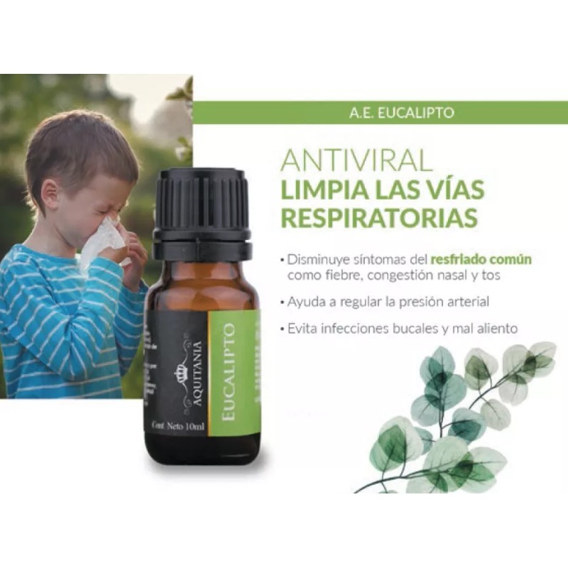 Ecolosia Aceite Esencial De Eucalipto