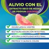Qg5 Alivio Colitis Ingredientes Origen 100 Natural Que Alivian Inflamación