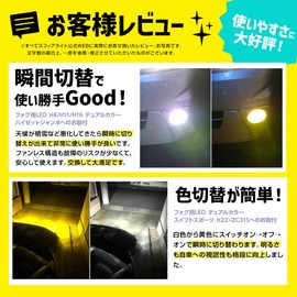 SPHERE LIGHT Sphere LED Fog Light for Road Transport Vehicle Inspection